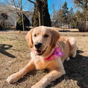 Meet your Posher, Morgen